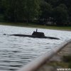 Koeln2014_1 (62)